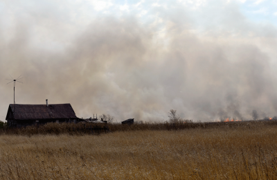 На территории Новосибирской области установлен особый противопожарный режим