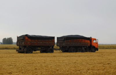Хлеборобы Чулымского района убрали менее половины зерновых