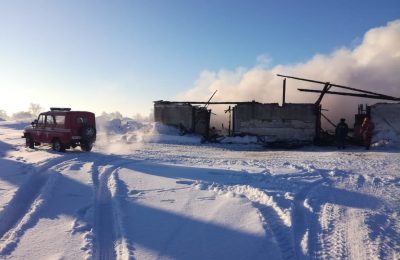 Более сорока животных погибло в пожаре на животноводческой ферме в Большеникольске
