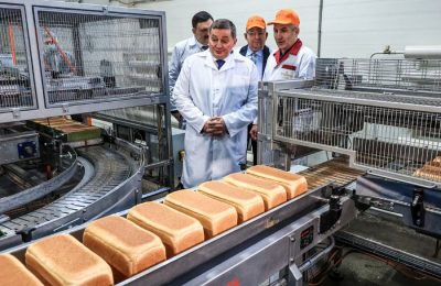 Кабмин выделил 2,5 млрд рублей на поддержку производителей хлеба