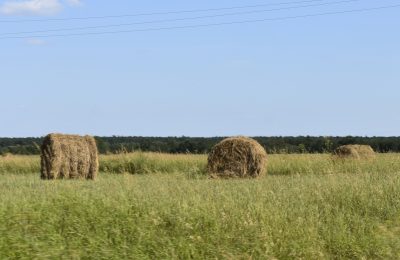 Аграрии Чулымского района приступили к заготовке кормов