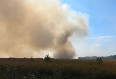 Несколько дней полыхал ландшафтный пожар в Чулымском районе