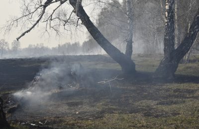 150 млн рублей – на лесные пожары