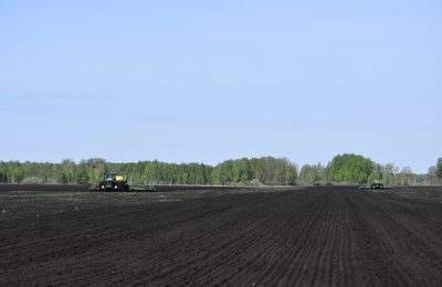 Более 46 тысяч гектаров засеют аграрии Чулымского района в 2023 году