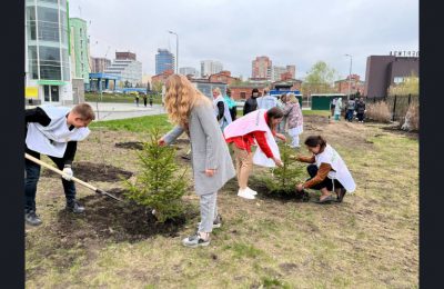 95 деревьев высадили в память  о медработниках Великой Отечественной
