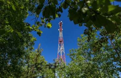 Дачникам и сельчанам: МегаФон ускорил интернет в районе Чуйского тракта