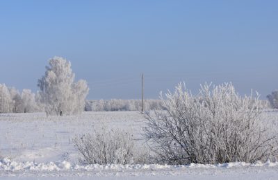 Сугробы – наше богатство