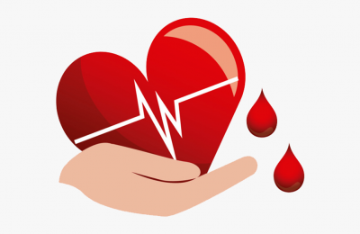 «Доноры, которые сдают кровь 2-3 раза в год на протяжении всей жизни, не страдают инфарктами и инсультами»