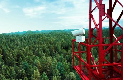 Пять видеокамер с круговым обзором следят за чулымскими лесами