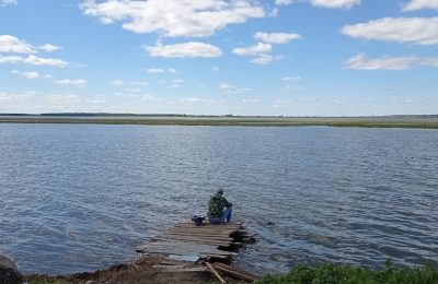 В Чулымском районе продают участок у озера за 60 миллионов рублей