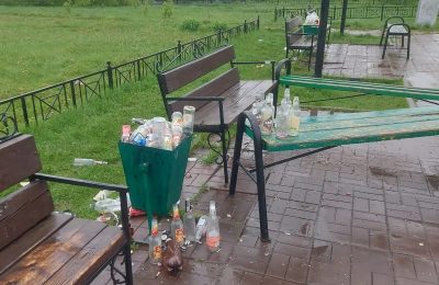 «Банкет» с алкоголем устроили возле мемориала в чулымском парке