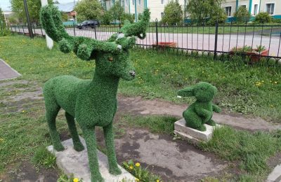 Родители оплатили ремонт сломанного их сыном «оленя» в парке Победы