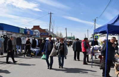 Саженцами и колбасой запаслись чулымцы на юбилейной ярмарке