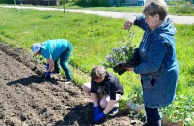 Жители Ужанихи украсили село цветами