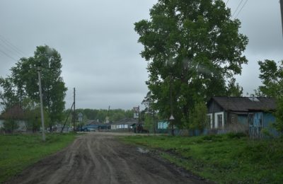 Жительницу Залесного не могут заставить привязать собак