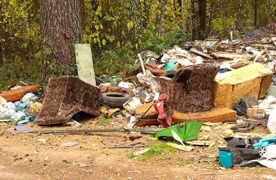 За нелегальными свалками будут следить видеокамеры в НСО