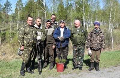 Работники лесного хозяйства сегодня отмечают профессиональный праздник