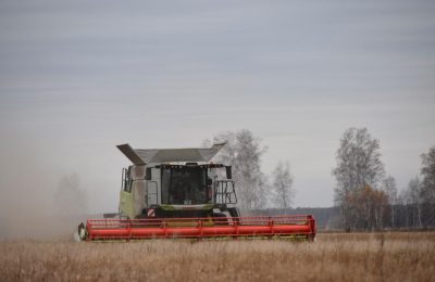 Для аграриев Сибири –  новый филиал Росагролизинга