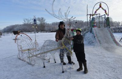 Видно из космоса! Житель Золотой Гривы создал сказочный городок из проволоки и гирлянд