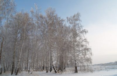 Нырять или не нырять? О традициях празднования Крещения