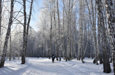 12 новых национальных проектов стартовали с 2025 года в Новосибирской области