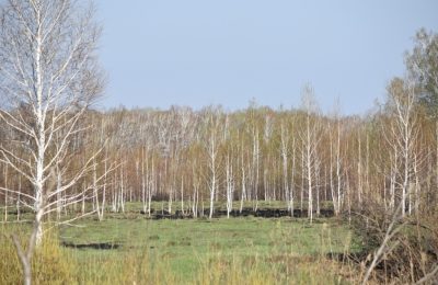 Новосибирские пожарные-десантники готовятся к горячим дням