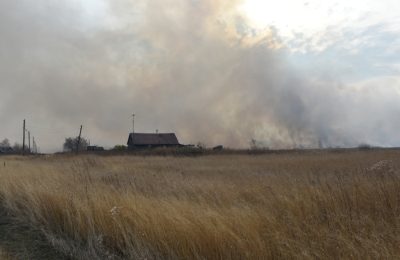 Пожарные напомнили, как защитить земельный участок от огня