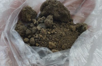 Горсть земли с Мамаева кургана передали в отдел краеведения Чулымской библиотеки