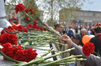 Новый проект поможет новосибирцам найти родственника-фронтовика