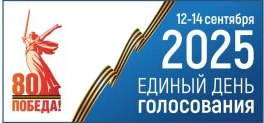 В Избирательной комиссии Новосибирской области работает «горячая линия»