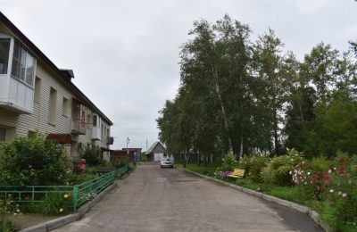 На улице Островского разбили целый сад