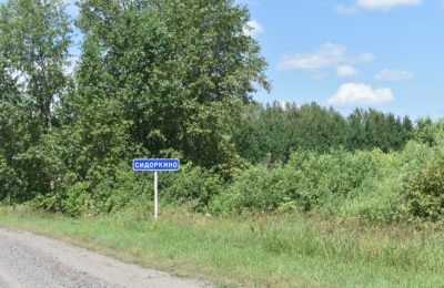 В селе Чулымского района погибла женщина в ДТП