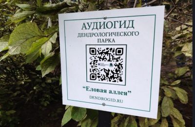 Первый аудиогид, посвященный особо охраняемой природной территории, появился в Новосибирской области
