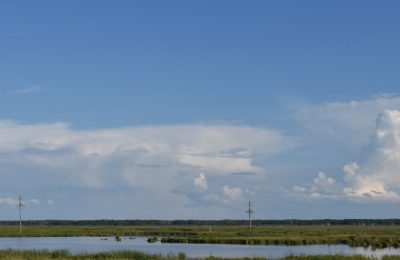 Чистить водоемы гречкой предложили молодые учёные Новосибирска