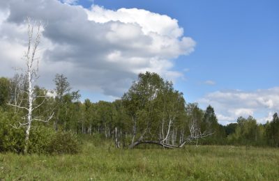 Техника помогает бороться с браконьерами в Новосибирской области