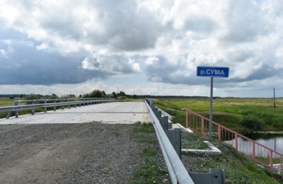 Медведя сняли на видео возле Малосуминки в Чулымском районе