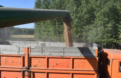 Почти половина урожая убрана в Чулымском районе