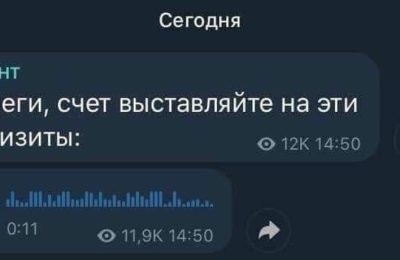 Голосовое зло. Почему нельзя отправлять в общий чат аудиосообщения
