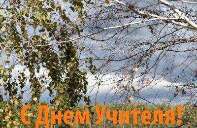Губернатор поздравил учителей с профессиональным праздником