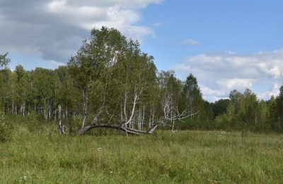 Будущие  охотники теперь обязаны сдать экзамен
