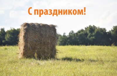С днём работника сельского хозяйства и перерабатывающей промышленности