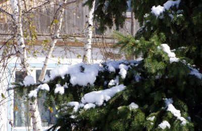 Когда придёт зима в Чулымский район?