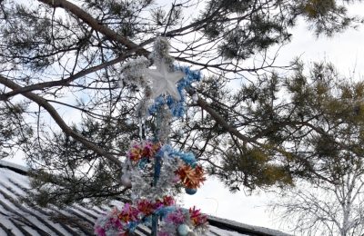 Ёлка в октябре. Как люди «воруют» у себя праздник