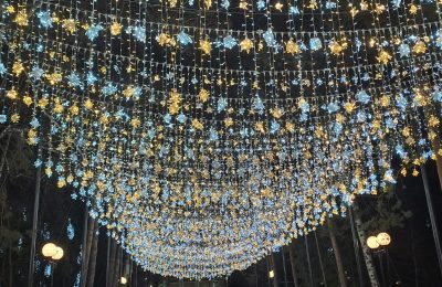 Новосибирцев приглашают присоединиться к «Новогодней России»