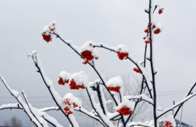 Чулым завалило снегом ещё до прихода зимы