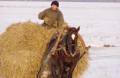 «Машина времени». 1990 год. Планы, которые не сбылись
