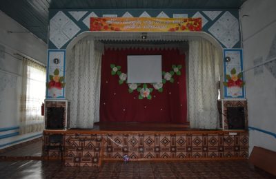 Куликовские артисты дали концерт в Пеньке