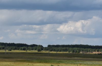 Виновницу смертельной аварии в Чулымском районе отправили в колонию-поселение