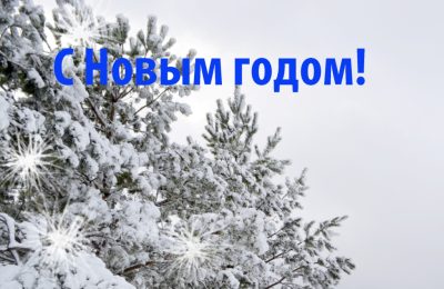 Поздравление губернатора Новосибирской области с Новым годом