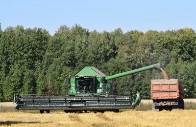 Производство  сельхозпродукции в Чулымском районе выросло на треть